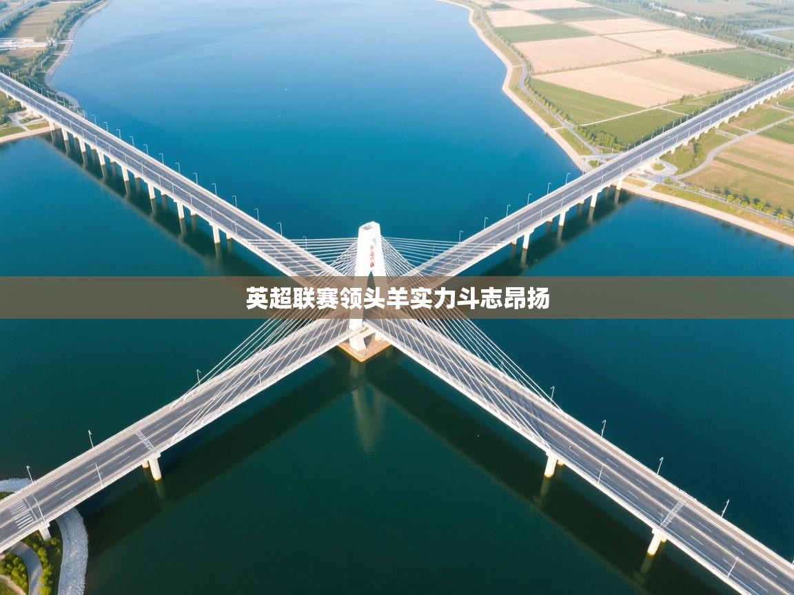 英超联赛领头羊实力斗志昂扬 第2张