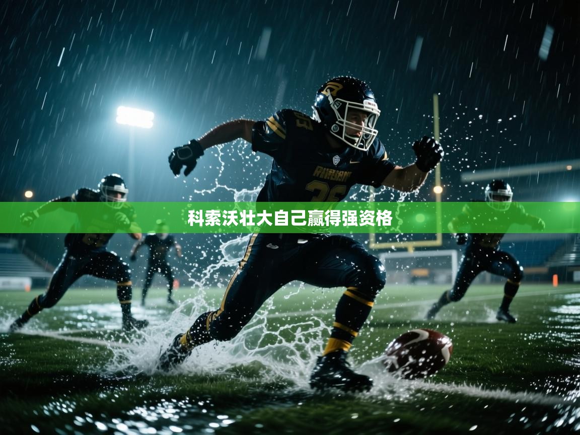 科索沃壮大自己赢得强资格  第2张