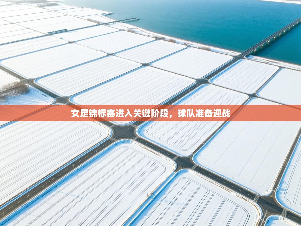 女足锦标赛进入关键阶段，球队准备迎战  第2张
