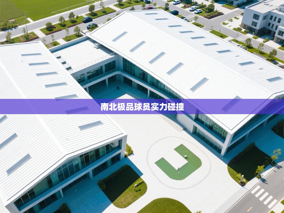 南北极品球员实力碰撞  第1张